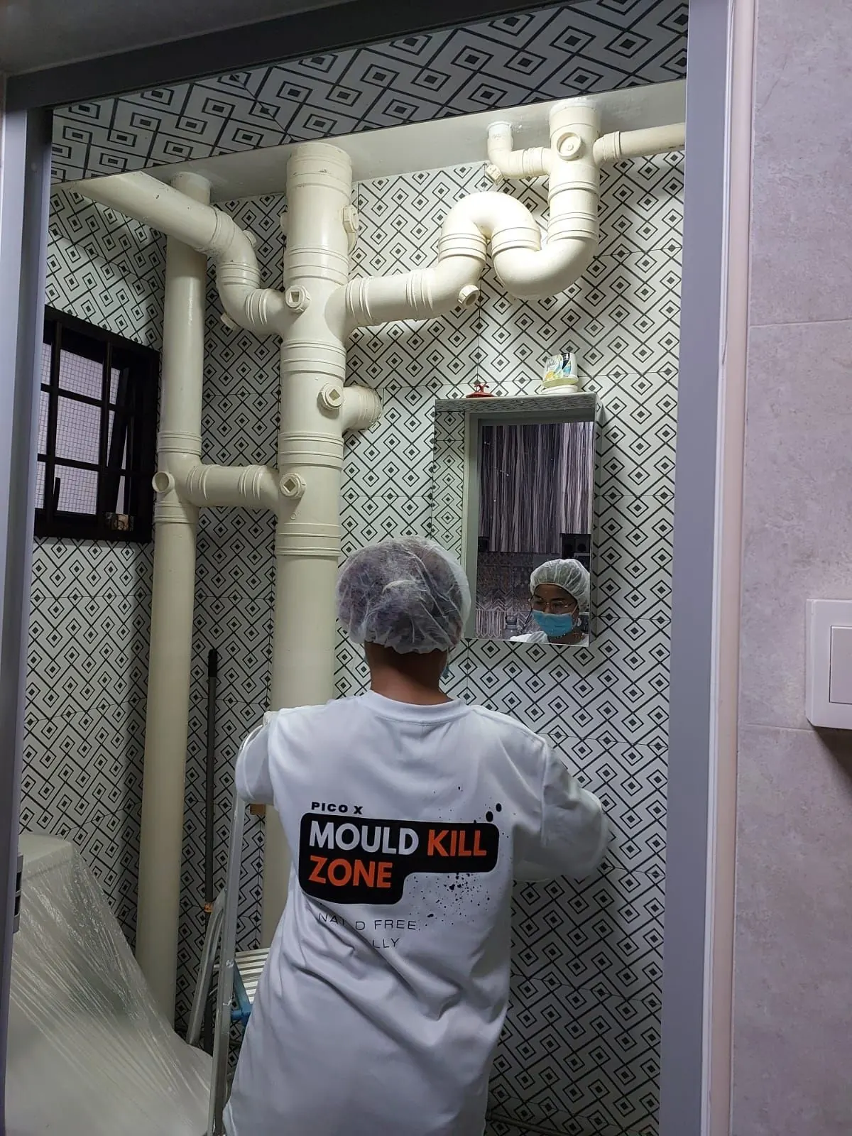 Professional Mould Remediation — Pico X Health
